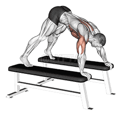 Pike Push-up demonstration