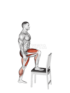 Step-up on Chair demonstration