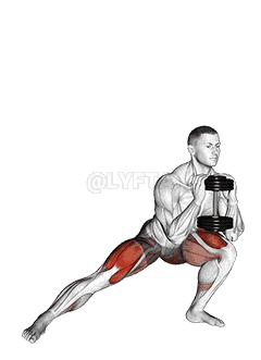 Dumbbell Side Lunge demonstration