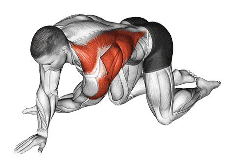 Kneeling T-Spine Mobility Stretching demonstration