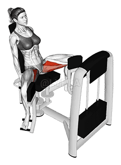 Lever Seated Hip Adduction demonstration