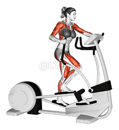 Walk Elliptical Cross Trainer demonstration