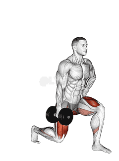 Dumbbell Contralateral Forward Lunge demonstration