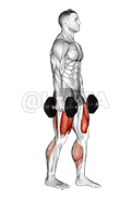 Dumbbell RDL Death March demonstration
