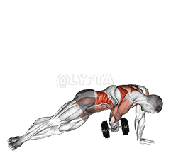 Dumbbell Side Plank with Rear Fly demonstration