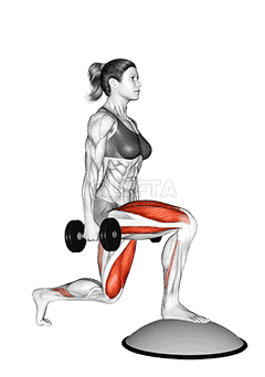 Dumbbell Split Squat Front Foot Elevanted with Bosu Ball demonstration