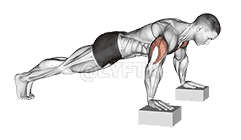 Elevanted Push-Up demonstration