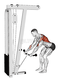 Cable Bent Over Row demonstration