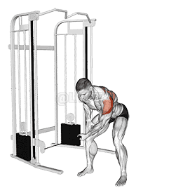 Cable Bent-Over One Arm Lateral Raise demonstration