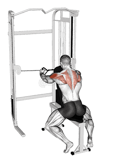 Cable Seated Rear Delt Fly with Chest Support demonstration