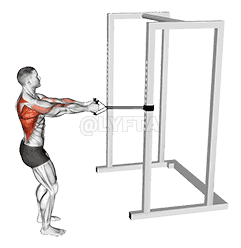 Band Close Grip Row demonstration