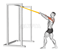 Resistance Band Rear Delt Row demonstration