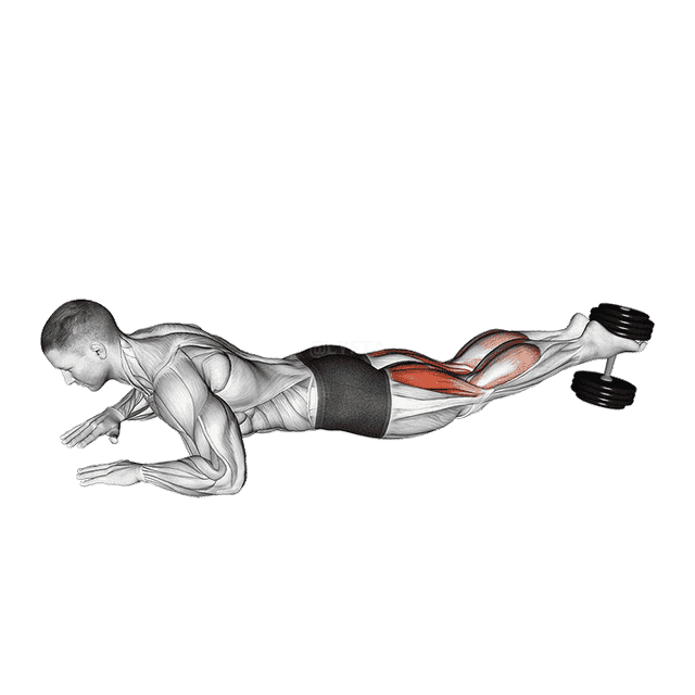 Dumbbell Lying Hamstring Curl demonstration