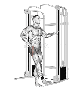 Cable hip abduction demonstration