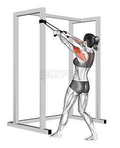 Band standing rear delt row demonstration
