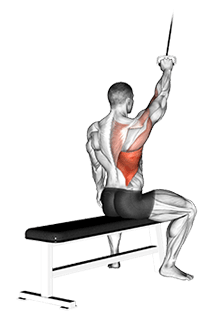 Alternate Lateral Pulldown exercise demonstration for Back, Cable