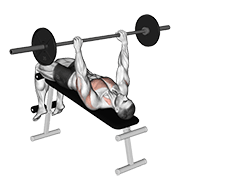 Barbell Decline wide-grip pullover exercise demonstration for Back, Barbell