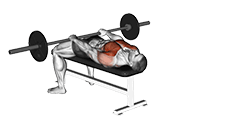 Barbell Front Raise and Pullover exercise demonstration for Chest, Barbell