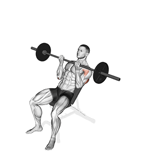 Incline Reverse-grip Press exercise demonstration for Triceps, and Upper Arms, Barbell