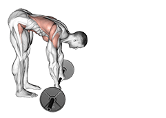 Barbell Standing AB rollout exercise demonstration for Waist, Barbell