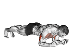 Body-Up exercise demonstration for Shoulders, Body weight