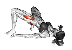 Bridge Hip Abduction exercise demonstration for Hips, Body weight