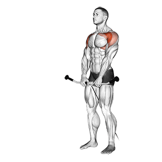 Cable Front Raise exercise demonstration for Shoulders, Cable