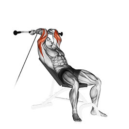 Cable Incline Triceps Extension exercise demonstration for Triceps, and Upper Arms, Cable