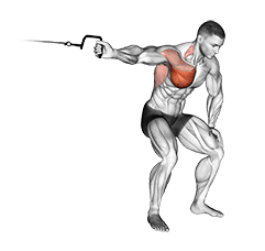 Cable One Arm Lateral Bent-over exercise demonstration for Chest, Cable