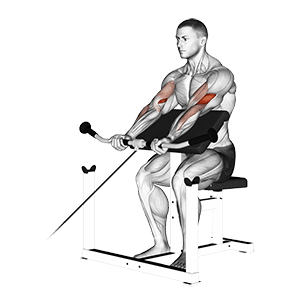 Preacher Curl exercise demonstration for Biceps, and Upper Arms, Cable