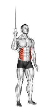 Cable Side Crunch exercise demonstration for Waist, Cable