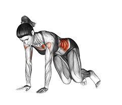 Corkscrew Push-up exercise demonstration for Waist, Body weight