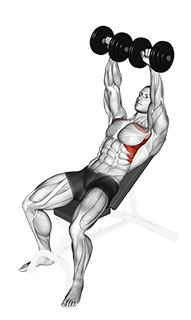 Dumbbell Incline Shoulder Raise exercise demonstration for Chest, Dumbbell