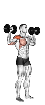 Dumbbell One Arm Shoulder Press exercise demonstration for Shoulders, Dumbbell