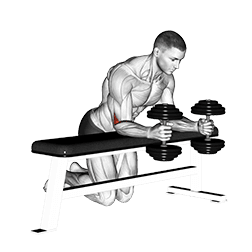 Over Bench Neutral Wrist Curl exercise demonstration for Forearms, Dumbbell
