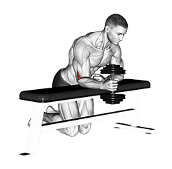 Over Bench One Arm Neutral Wrist Curl exercise demonstration for Forearms, Dumbbell