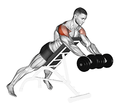 Dumbbell Rotation Reverse Fly exercise demonstration for Shoulders, Dumbbell