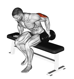 Dumbbell Seated One Arm Kickback exercise demonstration for Triceps, and Upper Arms, Dumbbell