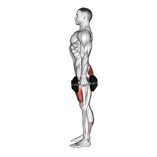 Squat exercise demonstration for Hips, Dumbbell