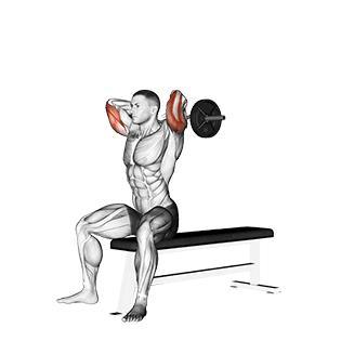EZ Barbell Seated Triceps Extension exercise demonstration for Triceps, and Upper Arms, EZ Barbell