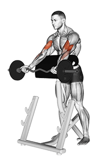 EZ Barbell Spider Curl exercise demonstration for Biceps, and Upper Arms, EZ Barbell