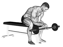 Finger Curls exercise demonstration for Forearms, Barbell