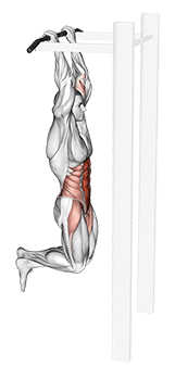 Gorilla Chin exercise demonstration for Waist, Body weight