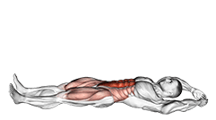 Jackknife Sit-Up exercise demonstration for Waist, Body weight