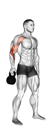Kettlebell Bottoms Up Clean From The Hang Position exercise demonstration for Forearms, Kettlebell