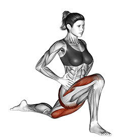 Kneeling Hip Flexor exercise demonstration for Quadriceps, and Thighs, Body weight