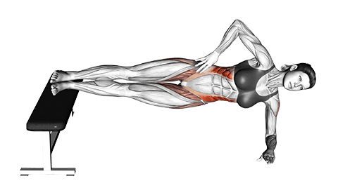 Leg Bench Side Bridge exercise demonstration for Waist, Body weight