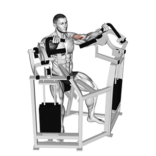 Lever Bicep Curl exercise demonstration for Biceps, and Upper Arms, Leverage machine