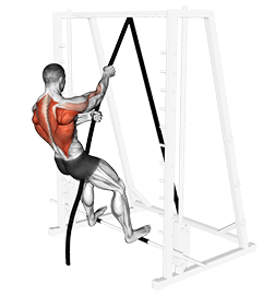 London Bridge exercise demonstration for Back, Rope