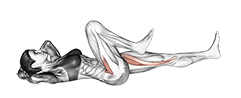 Lying Simultaneous Alternating Leg Raise exercise demonstration for Hips, Body weight